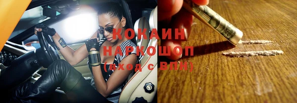 шишки Балахна
