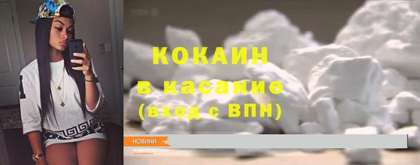 шишки Балахна