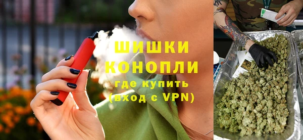 шишки Балахна
