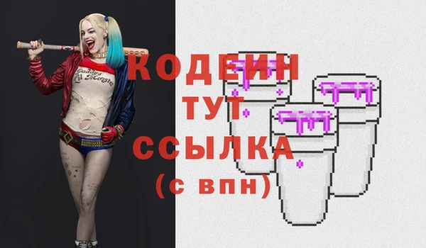шишки Балахна