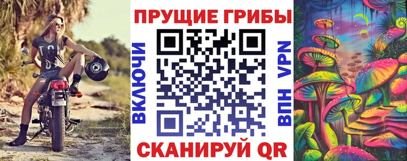 как найти закладки Барабинск Псилоцибиновые грибы MAGIC MUSHROOMS